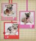 French Bulldog Puppies for sale in South Jordan, Utah. price: $4,000