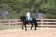 Friesian Horse Horses for sale in Los Angeles, CA 90001, USA. price: $5,000