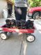German Shepherd Puppies for sale in Fowler, CA 93625, USA. price: $500