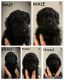 Golden Doodle Puppies for sale in Church Point, LA 70525, USA. price: $800