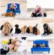 Golden Doodle Puppies for sale in Montrose, CO, USA. price: NA