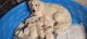 Golden Retriever Puppies for sale in Engelhard, North Carolina. price: $1,800