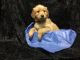 Golden Retriever Puppies for sale in 123 Hickory Ln, Batavia, OH 45103, USA. price: NA