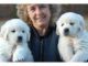 Golden Retriever Puppies for sale in Calabasas, CA, USA. price: NA