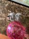 Hamster Rodents for sale in North Chesterfield, Richmond, VA 23236, USA. price: NA
