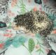 Hedgehog Animals for sale in Manchester, MO 63021, USA. price: NA