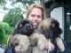 Leonberger Puppies for sale in 58503 Rd 225, North Fork, CA 93643, USA. price: NA