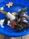 Miniature Schnauzer Puppies for sale in Newport News, VA, USA. price: $1,200