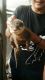 Otter Animals for sale in New Jersey St, Los Angeles, CA 90033, USA. price: NA