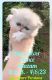 Persian Cats for sale in 237 Cleveland Ave, Hartwell, GA 30643, USA. price: $2,000