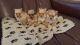 Petit Gascon Saintongeois Puppies for sale in Los Angeles, CA, USA. price: NA