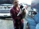 Plott Hound Puppies for sale in Woodland, WA 98674, USA. price: $200