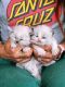 Ragdoll Cats for sale in 50 Hwy 50, Stateline, NV 89449, USA. price: $450
