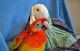 Scarlett Macaw Birds for sale in Montreal, QC, Canada. price: NA