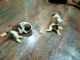 Shih Tzu Puppies for sale in Bidarahalli, Karnataka 560049, India. price: 43000 INR