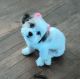 Shih Tzu Puppies for sale in Riverside-San Bernardino-Ontario, CA, CA, USA. price: $600