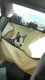 Siberian Husky Puppies for sale in Boron, CA 93516, USA. price: NA