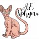 Sphynx Cats for sale in Oxford, OH 45056, USA. price: $1,800