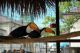 Toucan Birds for sale in Los Angeles, CA, USA. price: NA