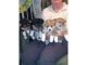 Welsh Corgi Puppies for sale in Manassas Park City Schools, Manassas Park, VA 20111, USA. price: NA