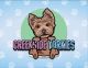 Yorkshire Terrier Puppies for sale in Springfield, OR, USA. price: NA