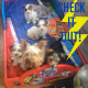 Yorkshire Terrier Puppies for sale in Meriden, CT, USA. price: NA