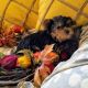Yorkshire Terrier Puppies for sale in Sherrodsville, OH 44675, USA. price: NA